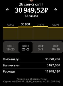 Screenshot_20221016-210223_Yandex Pro.jpg